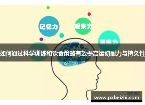如何通过科学训练和饮食策略有效提高运动耐力与持久性