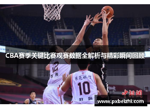 CBA赛季关键比赛观赛数据全解析与精彩瞬间回顾
