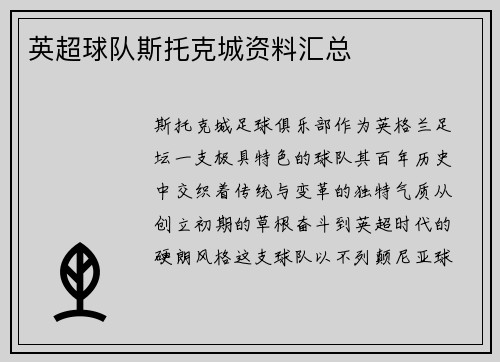 英超球队斯托克城资料汇总