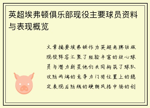 英超埃弗顿俱乐部现役主要球员资料与表现概览