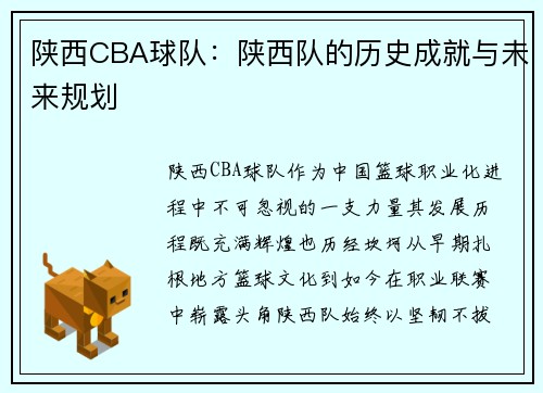 陕西CBA球队：陕西队的历史成就与未来规划